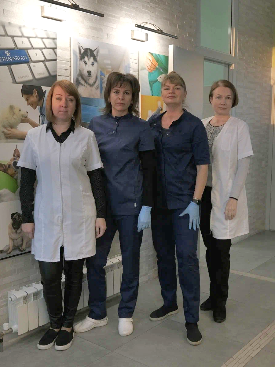 Терапия и УЗИ